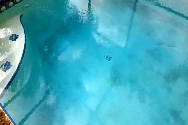 best way to clear up a green pool