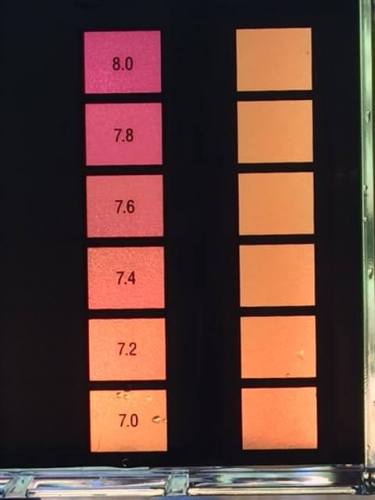 ph level of swimming pool water