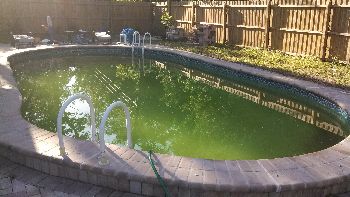 my pool water is green how do i clear it up